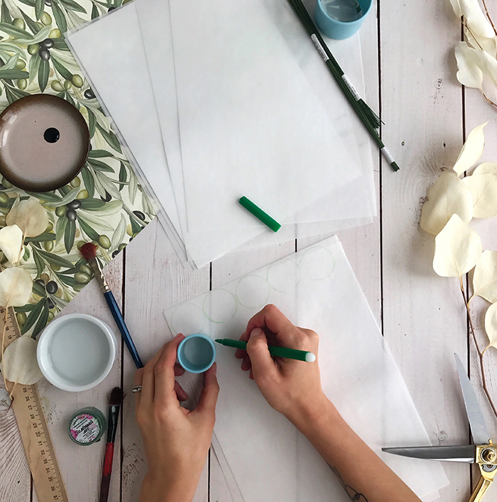 Вафельный эвкалипт