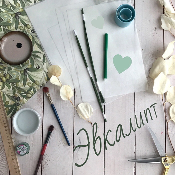 Вафельный эвкалипт