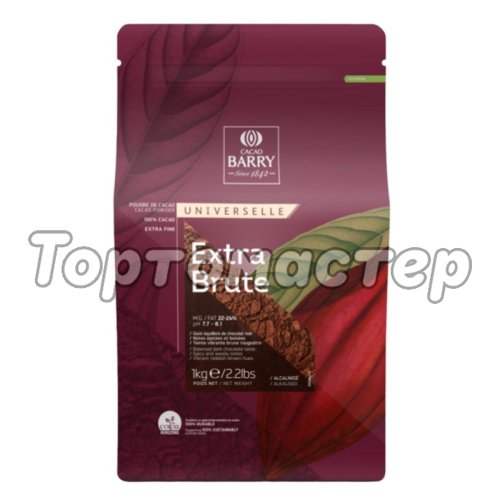 Какао-порошок алкализованный CACAO BARRY Extra Brute 22-24% 400 г DCP-22SP-760 фасовка